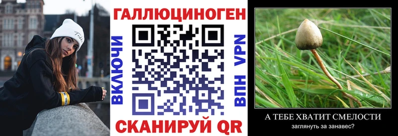 ссылка на мегу ССЫЛКА  купить   Мамоново  дарк нет формула  Псилоцибиновые грибы Magic Shrooms 